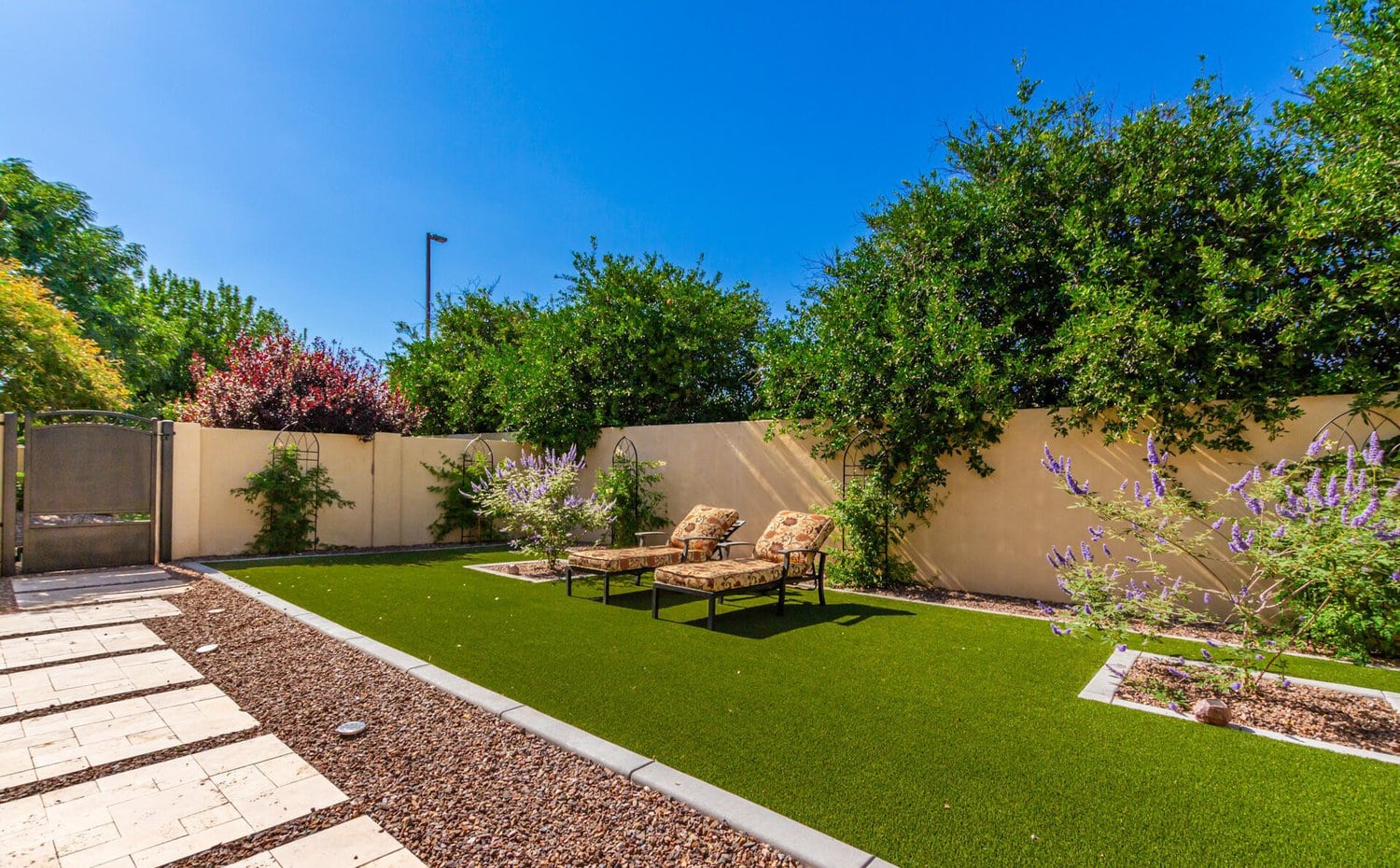 A backyard with a lush lawn bordered by a gravel path, featuring two cushioned lounge chairs with a small table between them. The area is enclosed with a cream-colored wall and surrounded by various greenery and flowering bushes under a clear blue sky, thanks to Scottsdale Turf Pros' expert artificial turf installation.